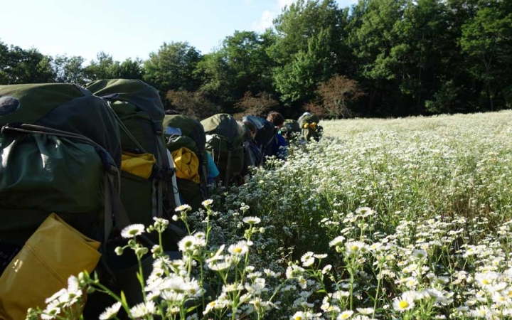 A line of people wearing backpacks make their way through a field of wildflowers. In the background, there is a line of thick trees.